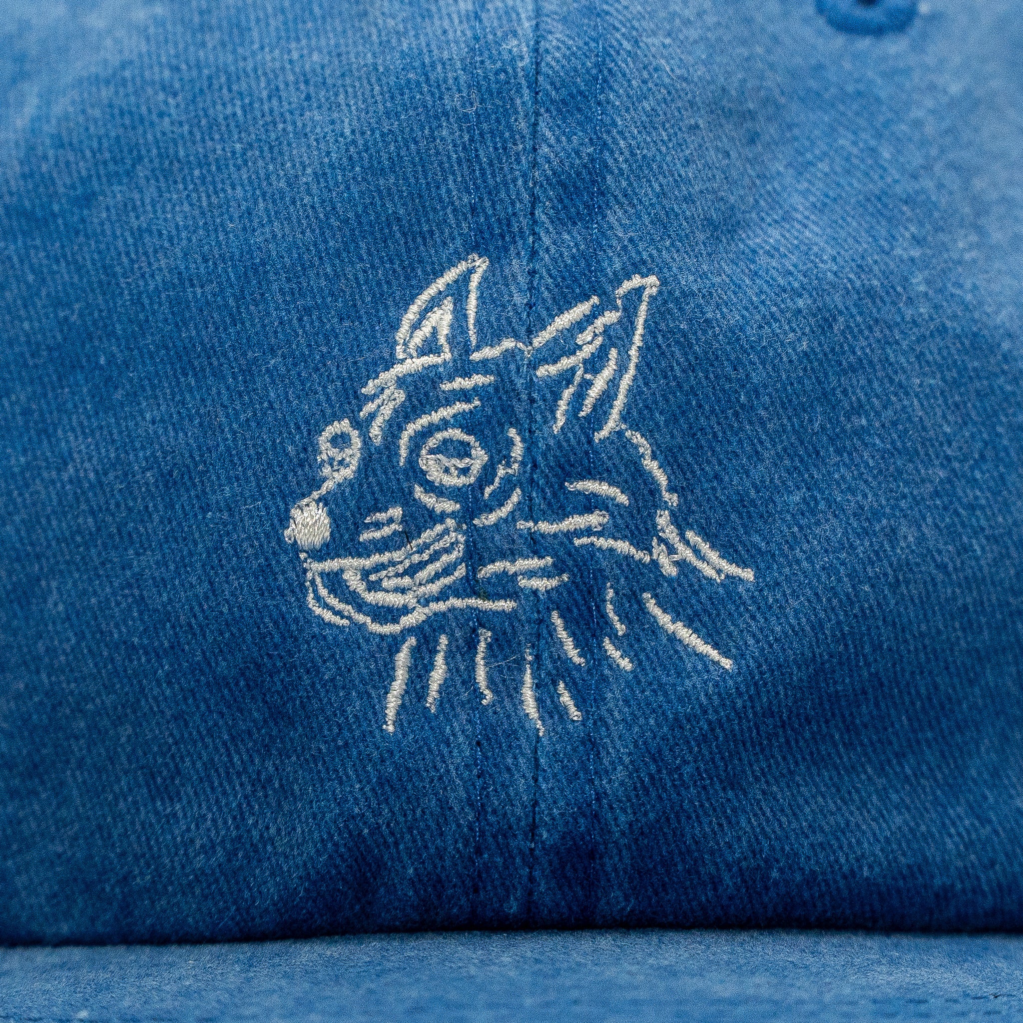 Crazy Dog Hat