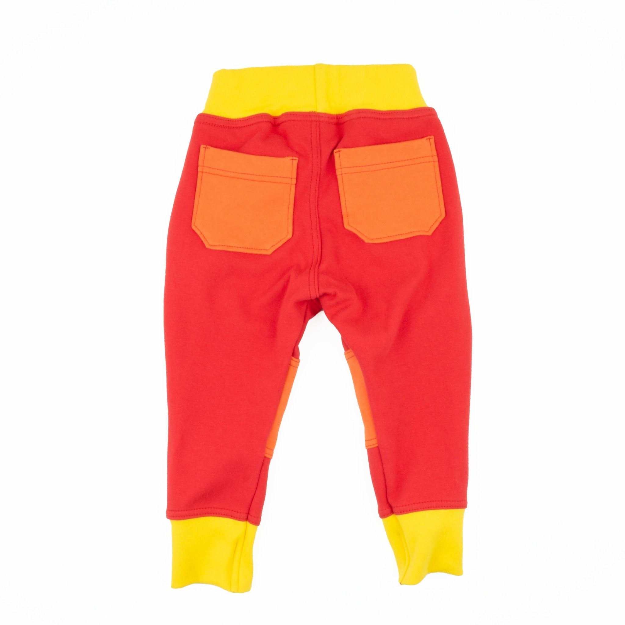 Adult Colorblock Joggers