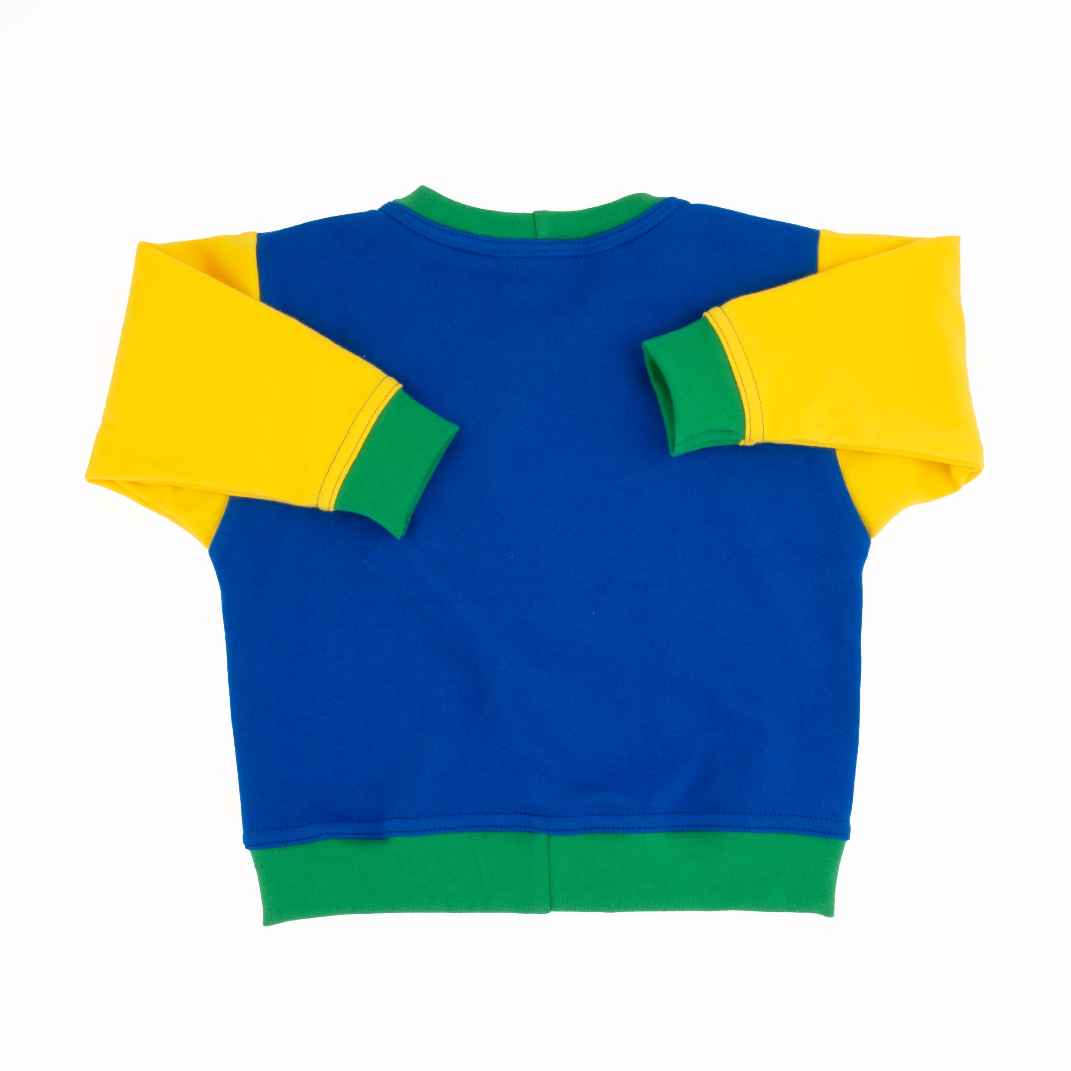 Big Kid Colorblock Sweatshirt