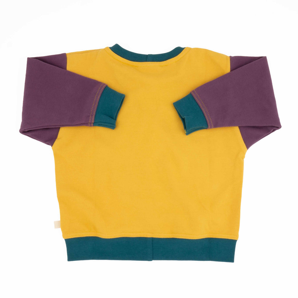 Big Kid Colorblock Sweatshirt