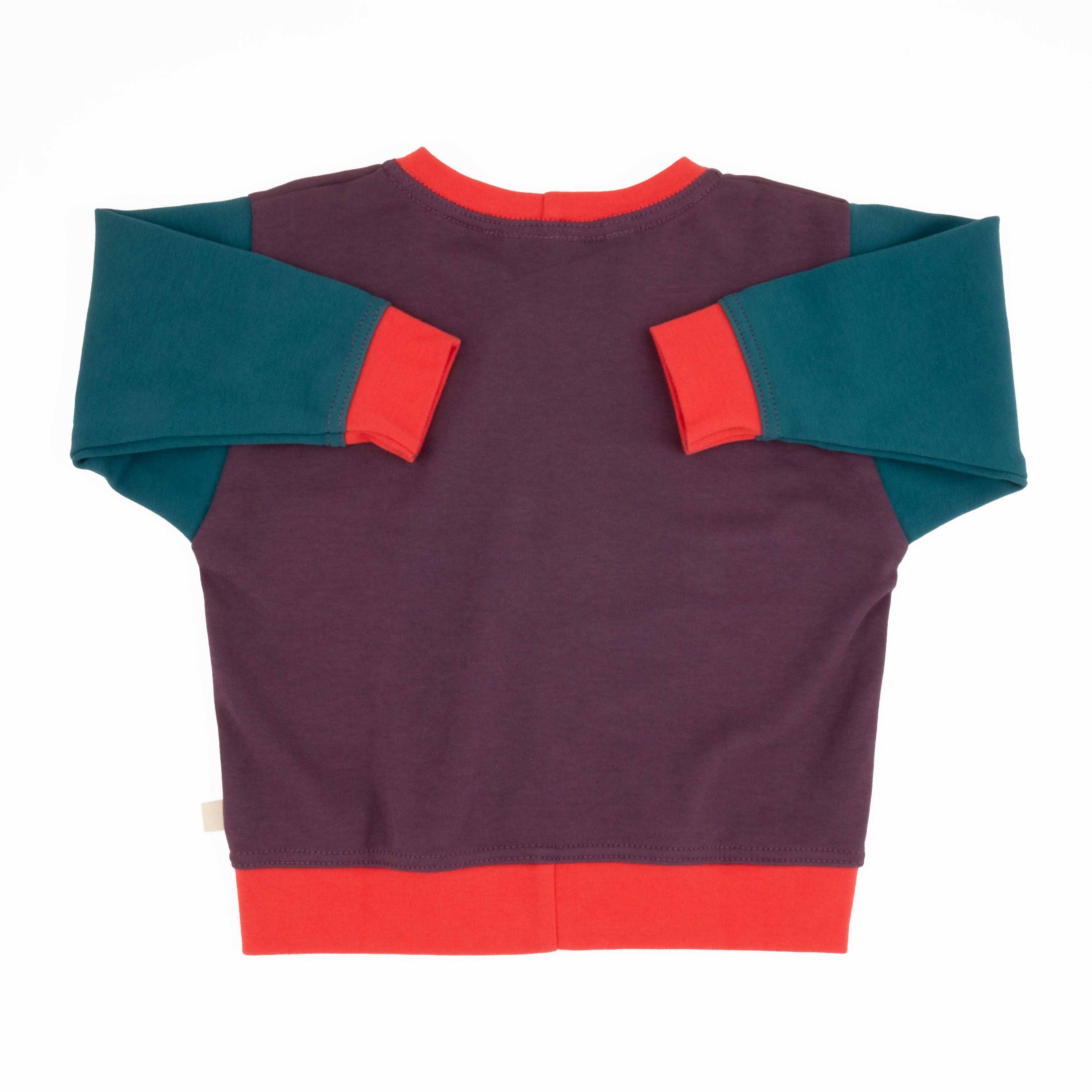 Big Kid Colorblock Sweatshirt