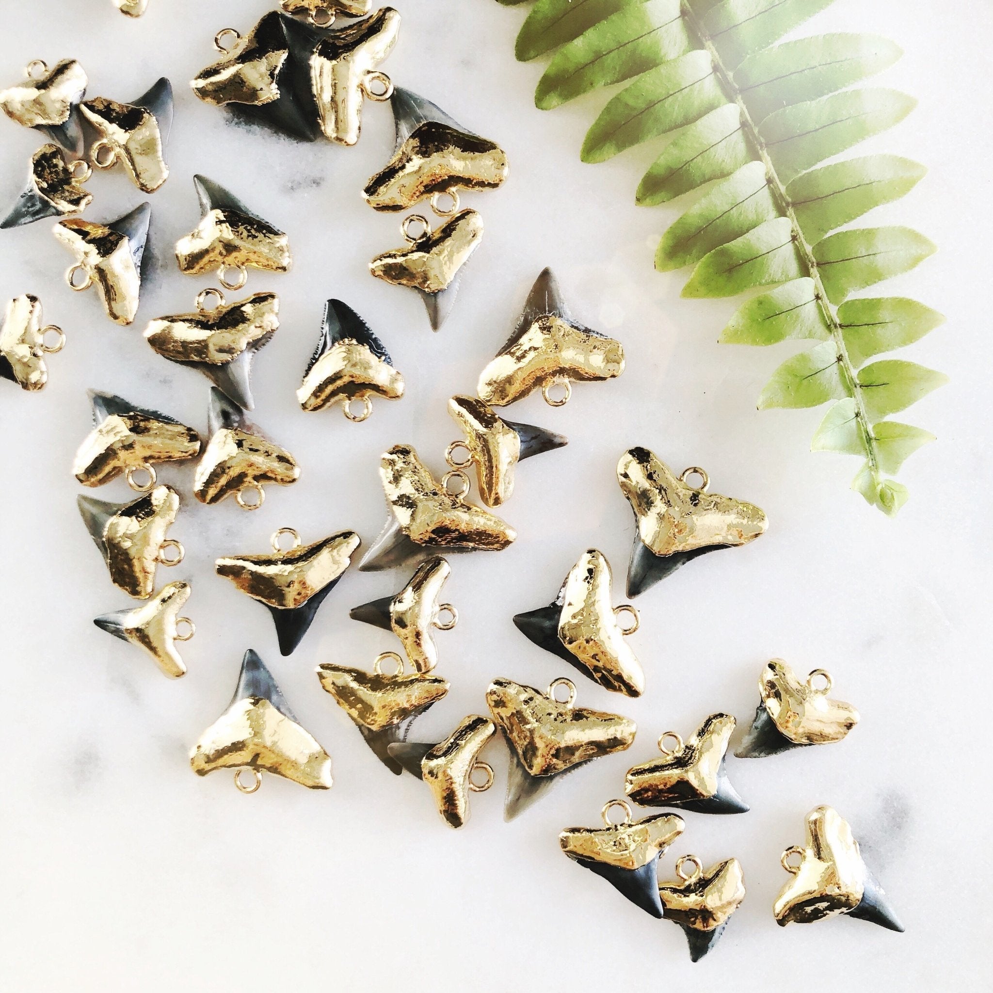 Black Gold Dipped Shark Tooth Necklace - Mano Niho Kahi Black