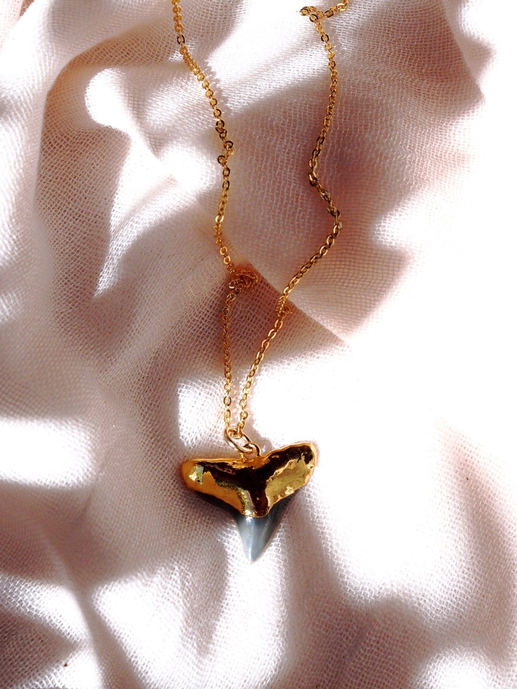 Black Gold Dipped Shark Tooth Necklace - Mano Niho Kahi Black